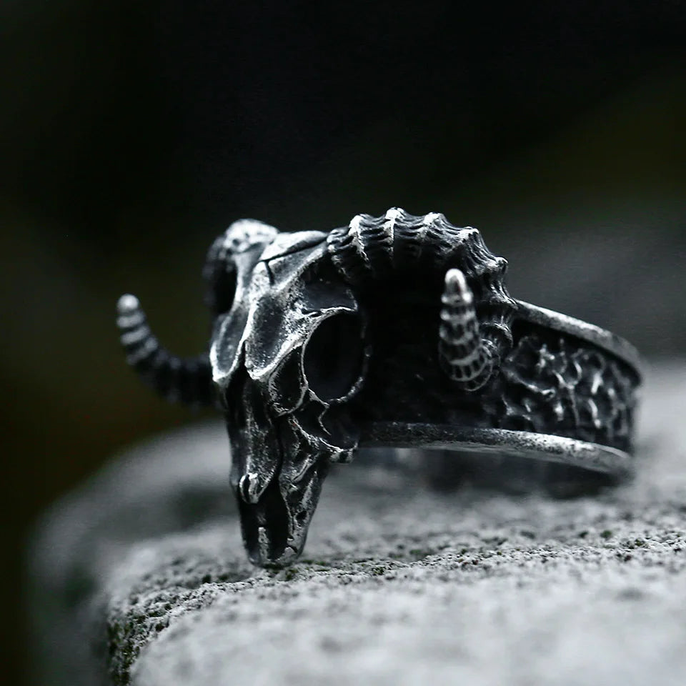 Stainless Steel Viking Skull Ring – Symbol of Power, Death, and Rebirth