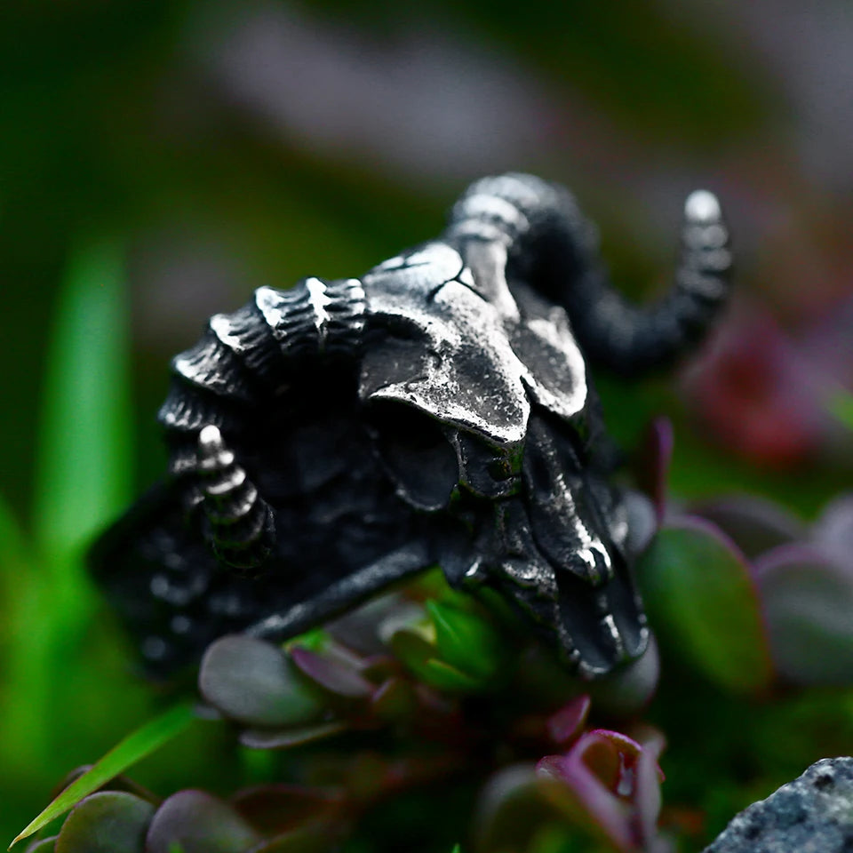 Stainless Steel Viking Skull Ring – Symbol of Power, Death, and Rebirth