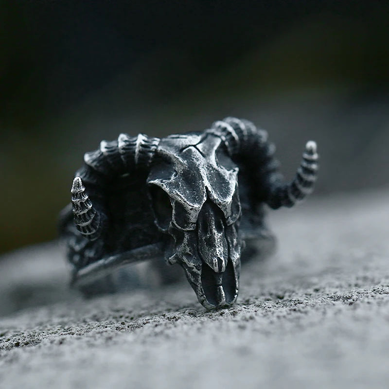 Stainless Steel Viking Skull Ring – Symbol of Power, Death, and Rebirth