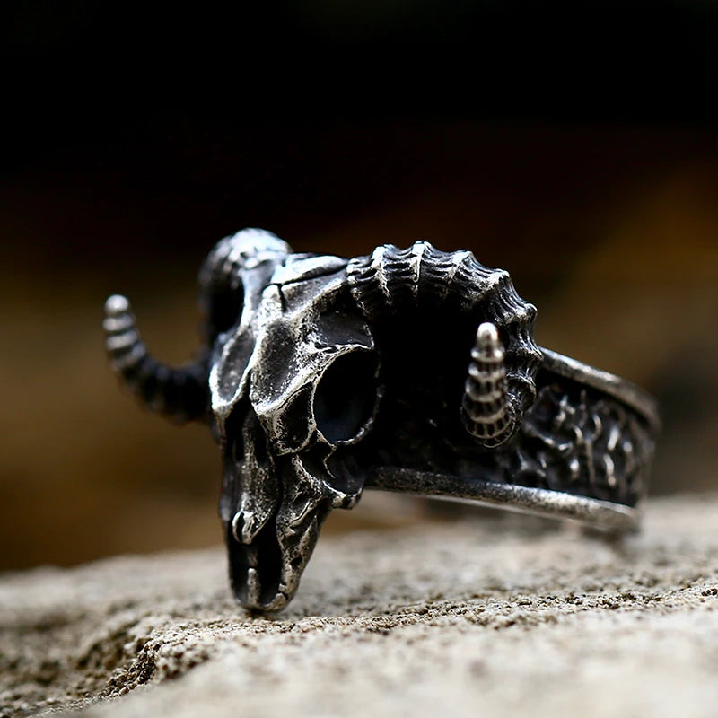 Stainless Steel Viking Skull Ring – Symbol of Power, Death, and Rebirth